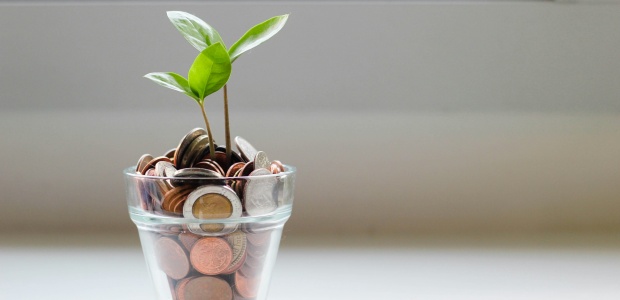 Test amb monedes d'euro simulant terra i una planta creixent al mig